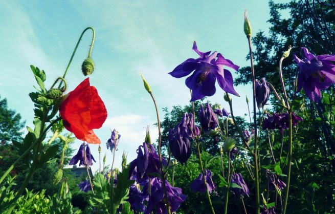 5-Indizien-Gott-Unterscheidung-Geister