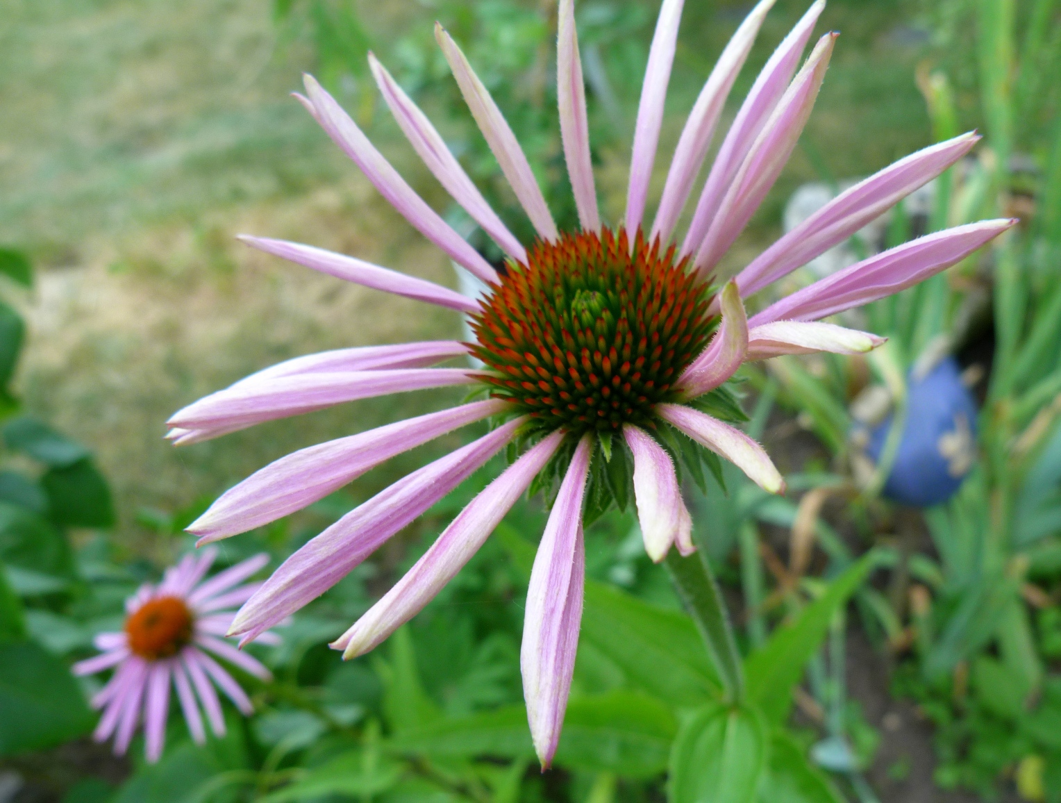 god-grammar-blog-10-tipps-freiheit-wahrheit-beichte