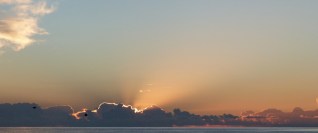 blog-god-grammar-berufung-was-willst-du-gott