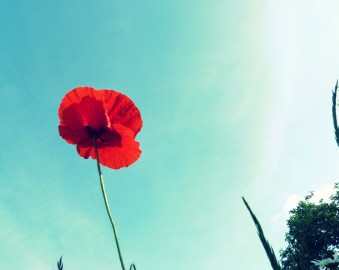 blog-gods-grammar-geheimnis-hingabe-gott-leben-gelingt