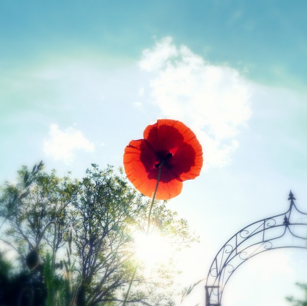 blog-gods-grammar-umkehr-jesus-hingabe-glück