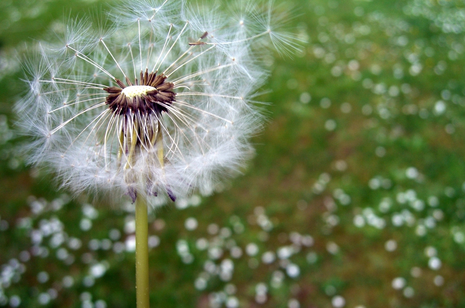 blog-gods-grammar-seelische-verletzung-heilung-christlich