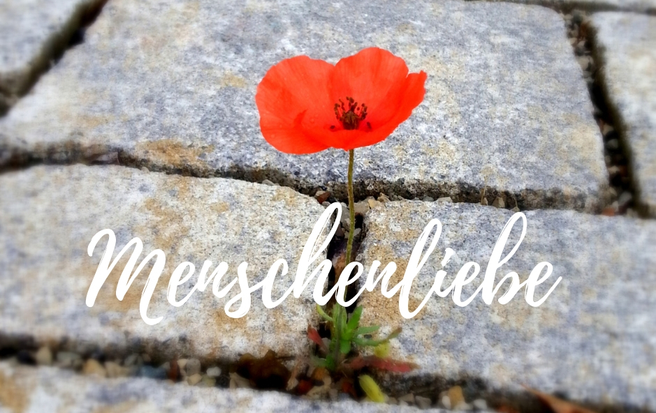 gods-grammar-blog-christlich-nur-die-liebe-zaehlt-gott-bibel