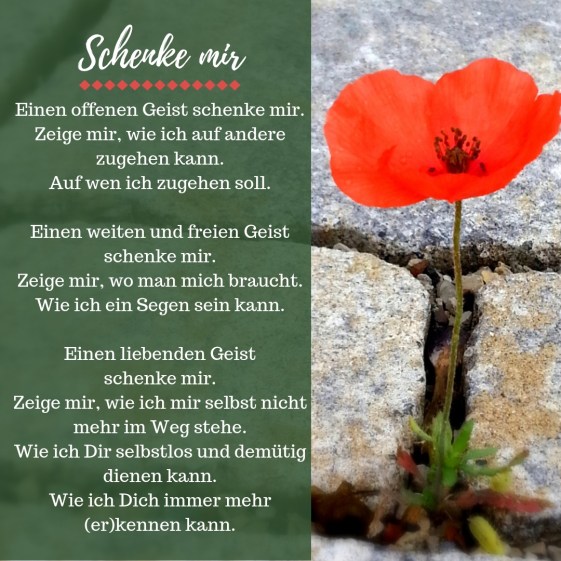 schenke-mir-blog-gods-grammar-liebe-christlich-gebet