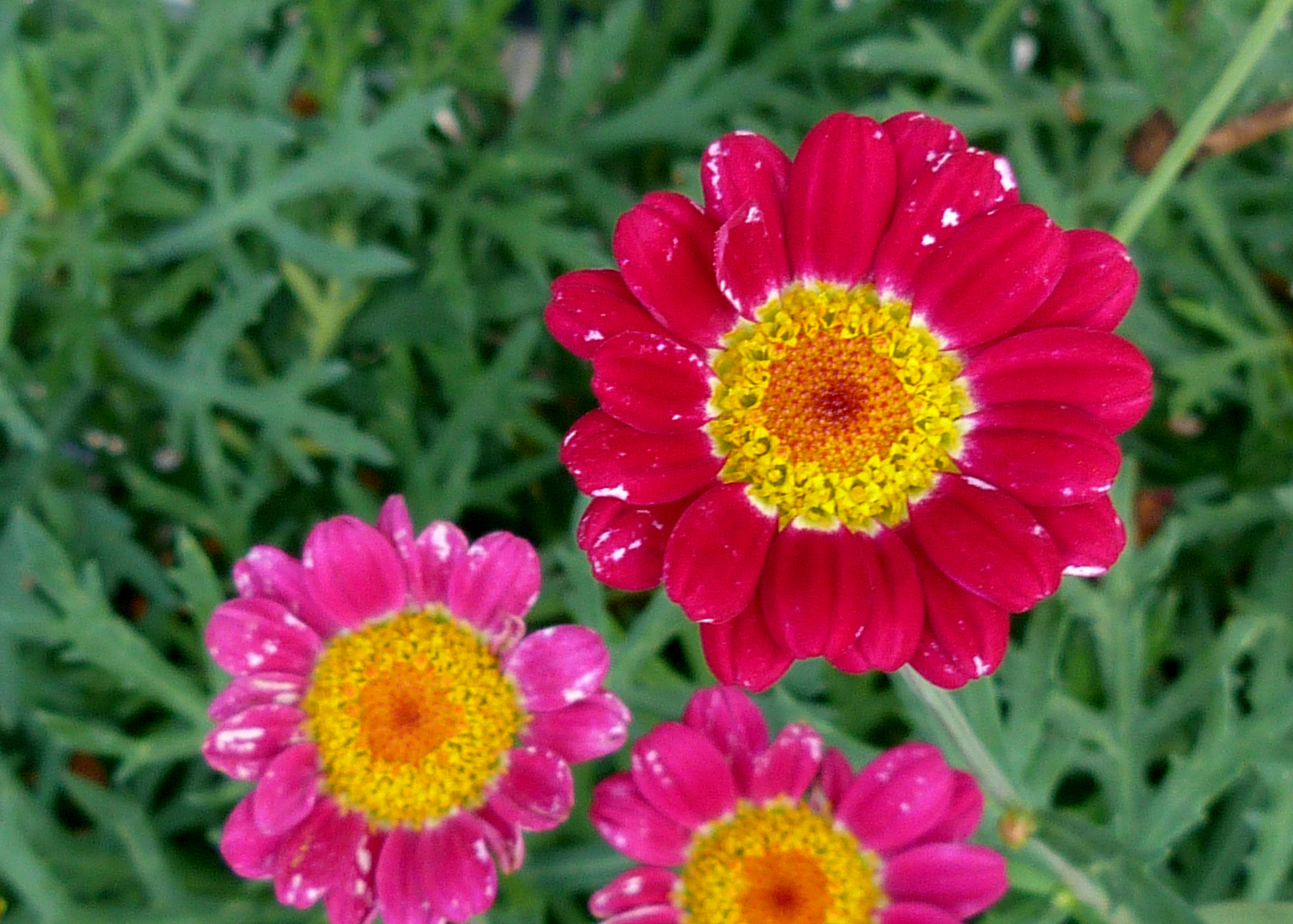 was-du-tun-kannst-wenn-du-krank-bist-blog-gods-grammar