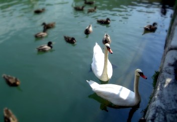 blog-gods-grammar-wahrheit-wahrhaftigkeit-ehrlichkeit