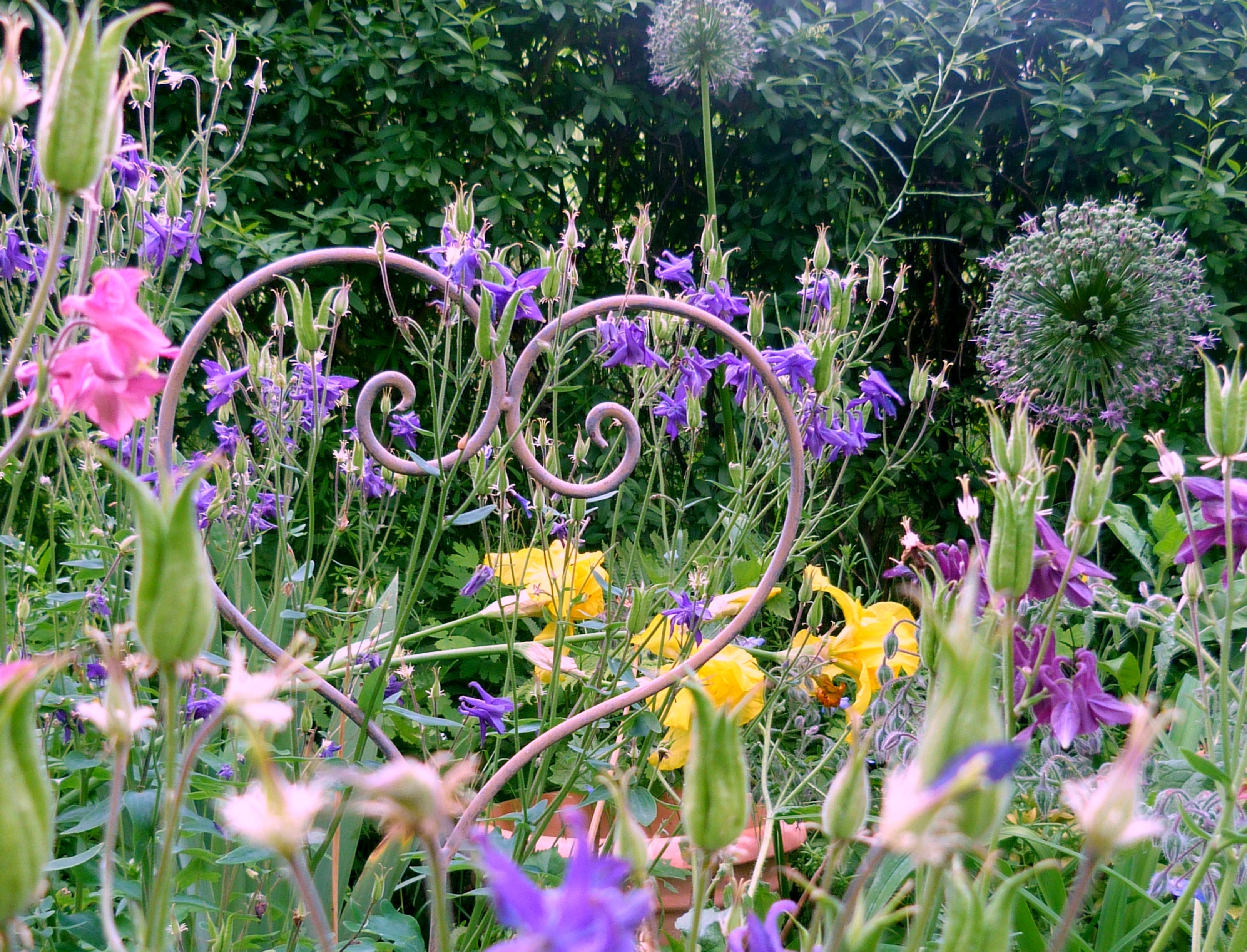 blog-gods-grammar-gottes-ruhe-vergebung-seele-garten